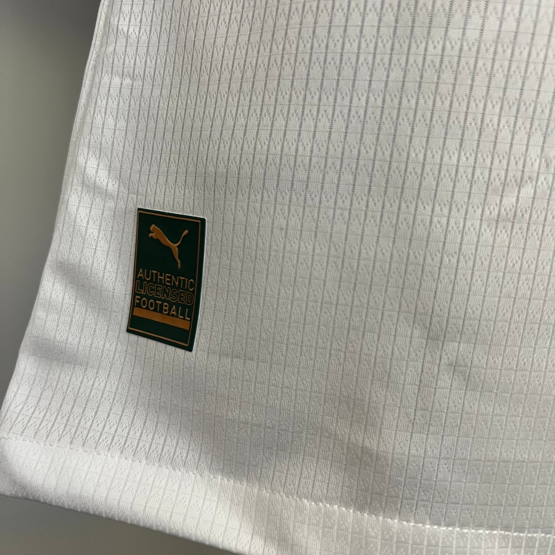 Camisa Palmeiras II 23/24 - Branca - - Masculino Jogador | Futmantos