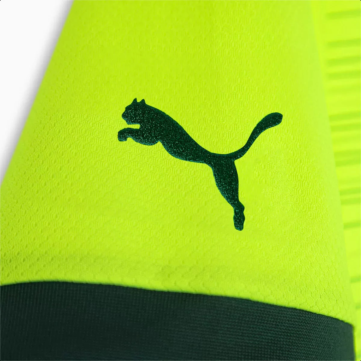 Camisa Palmeiras III 23/24 - Verde | Futmantos