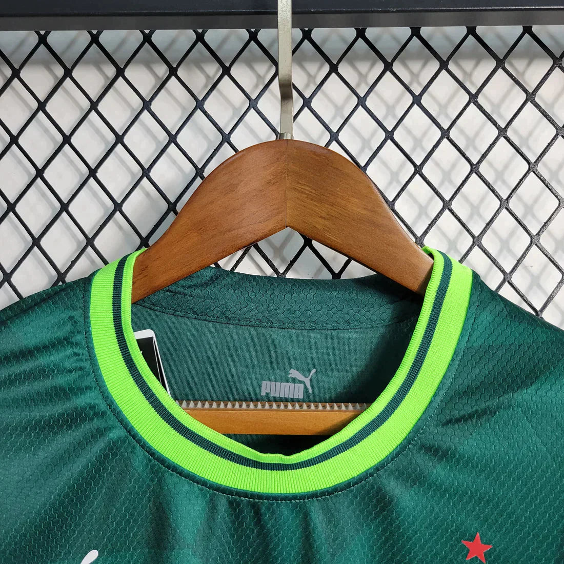 Camisa Feminina Palmeiras I 23/24 - Verde | Futmantos