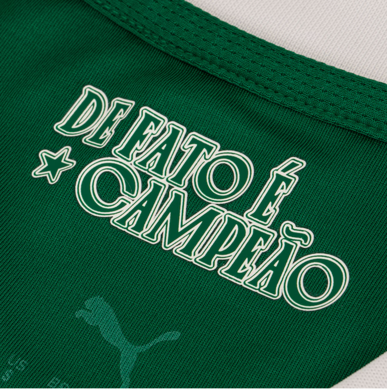 Camisa Palmeiras 25/26 - Feminina | Super Mundial