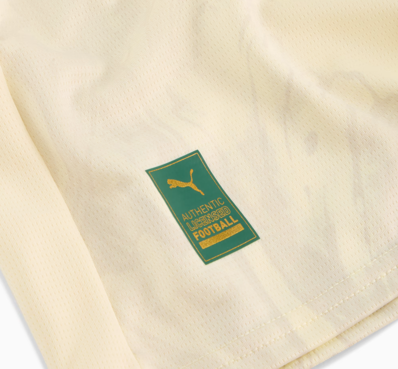 Camisa Palmeiras 25/26 - Edição Super Mundial | Futmantos