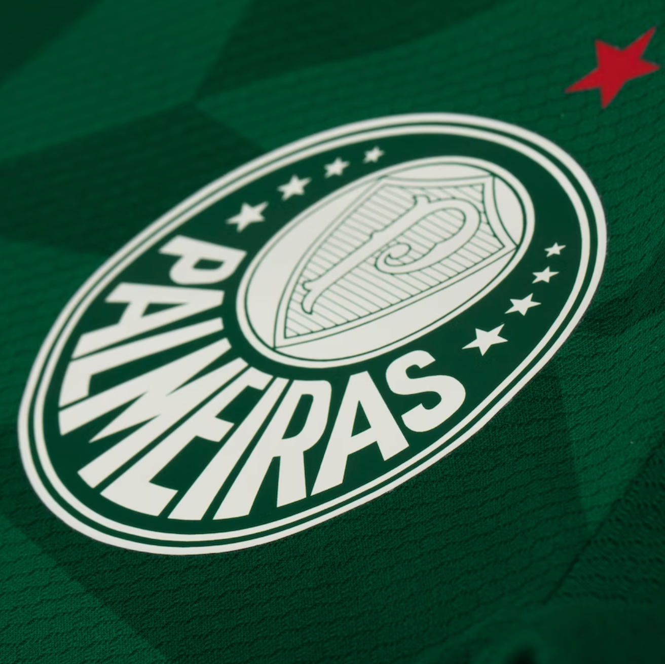 Camisa Palmeiras I 23/24 - Verde | Futmantos