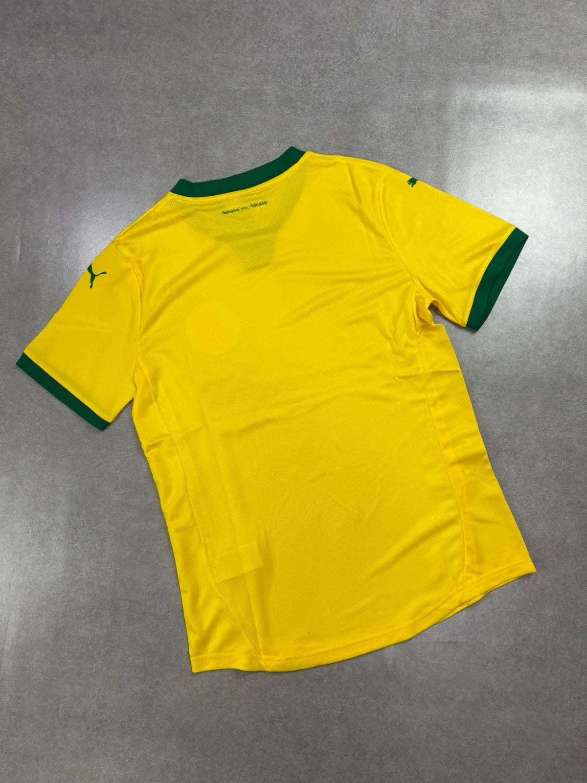 Camisa SEP III Verde e Amarela 25/26 - Versão Jogador | Futmantos