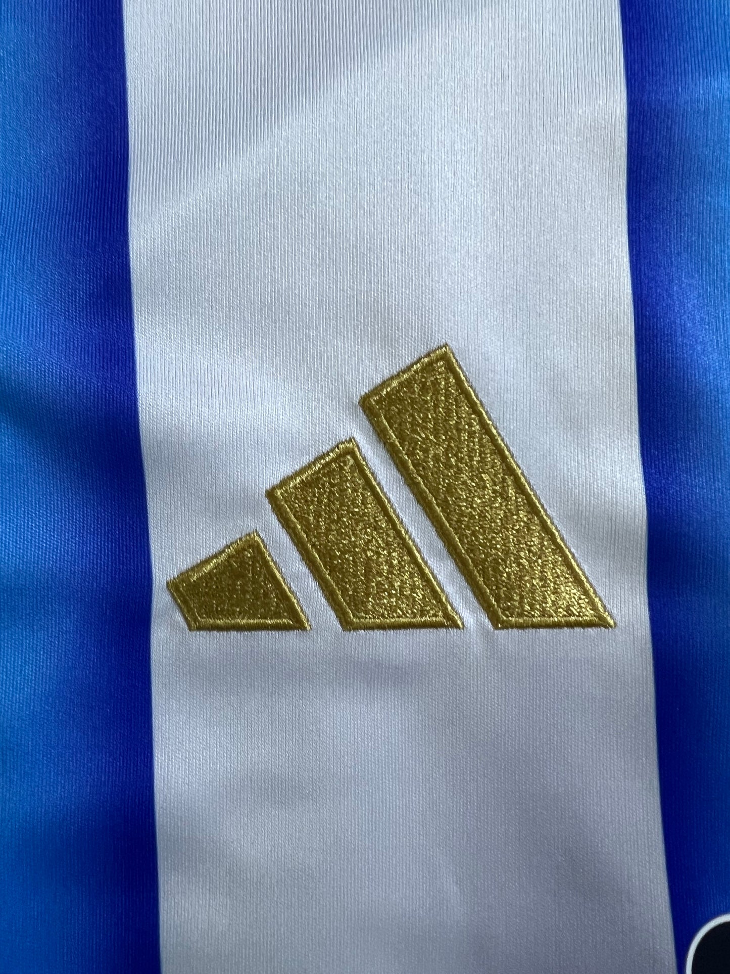 Camisa Argentina  l 2026- Messi#10 - Torcedor | FutMantos