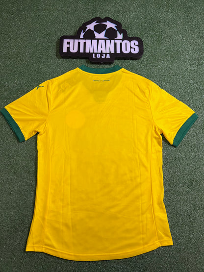 Camisa Palmeiras 25/26 -Jogador | FutMantos