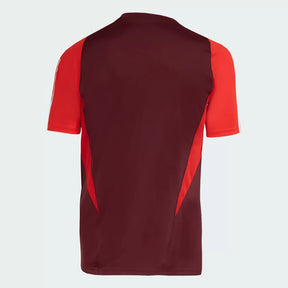 Camisa de Treino Internacional - Comissão técnica