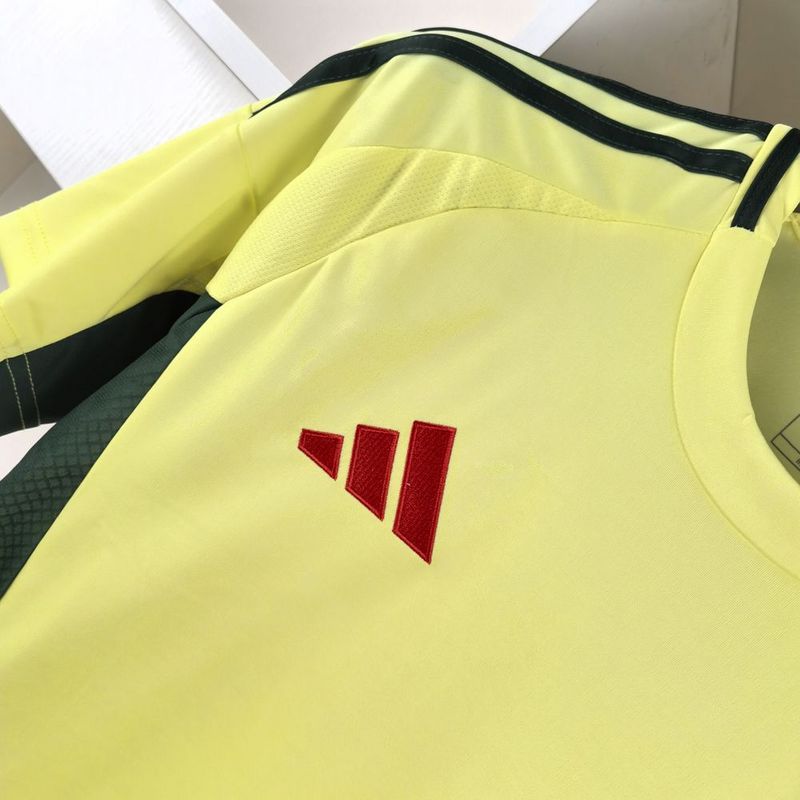 Camisa Seleção País de Gales II - 24/25 | Futmantos