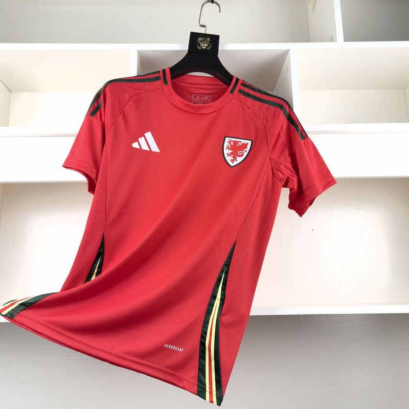 Camisa Seleção País de Gales - 24/25 | Futmantos