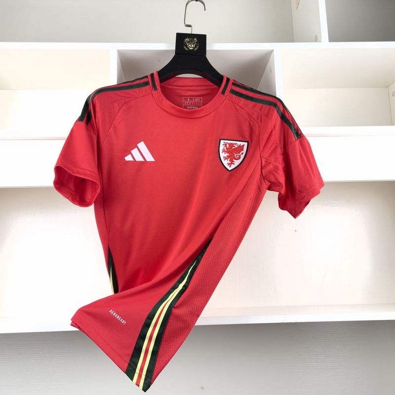 Camisa Seleção País de Gales - 24/25 | Futmantos