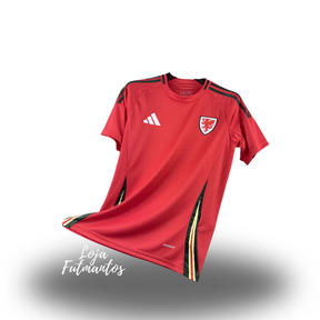 Camisa Seleção País de Gales - 24/25 | Futmantos