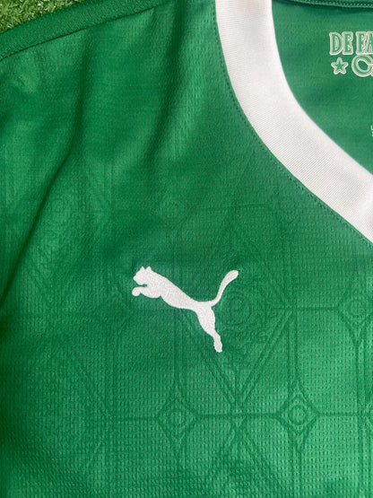 Camisa Palmeiras Verde 25/26 | FutMantos