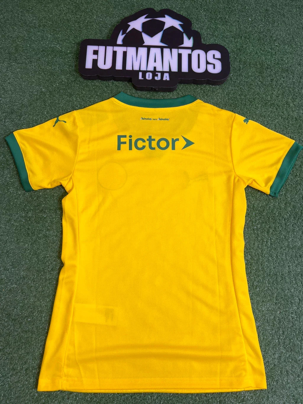 Camisa Palmeiras 25/26 Torcedora Feminina | FutMantos