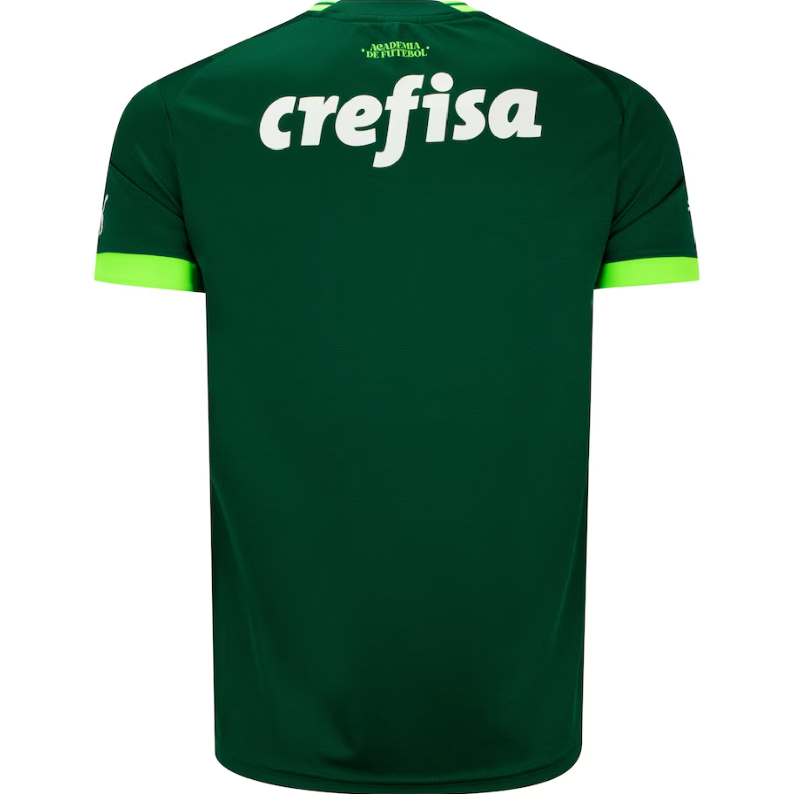 Camisa Palmeiras I 23/24 Puma - Verde | Futmantos