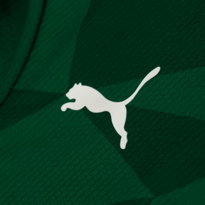 Camisa Palmeiras I 23/24 Puma - Verde | Futmantos