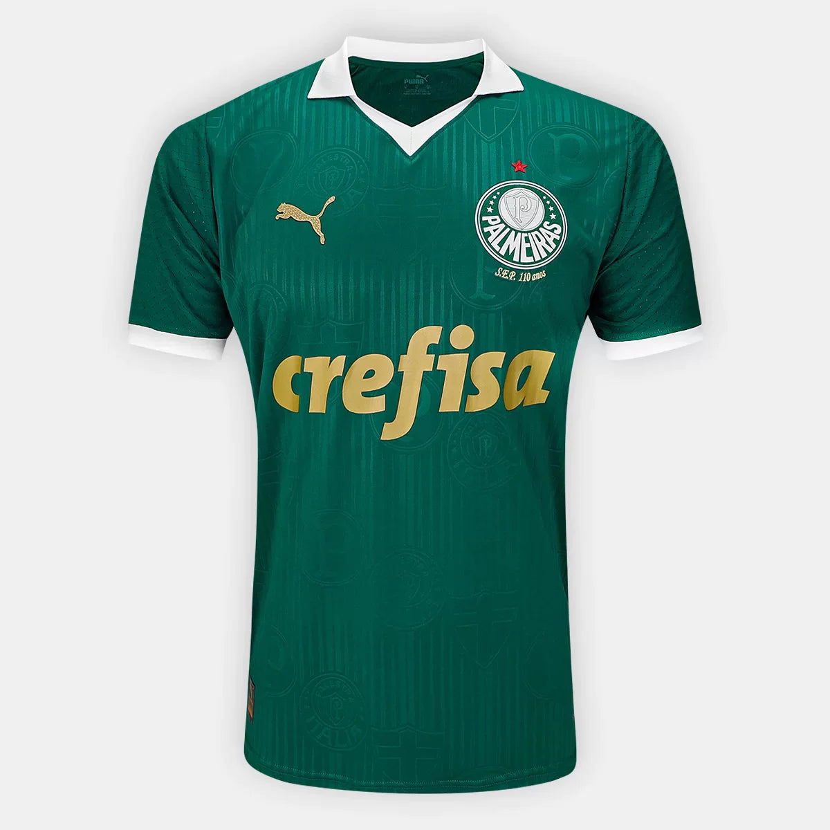 Camisa Palmeiras I 24/25 Puma - Verde | Futmantos