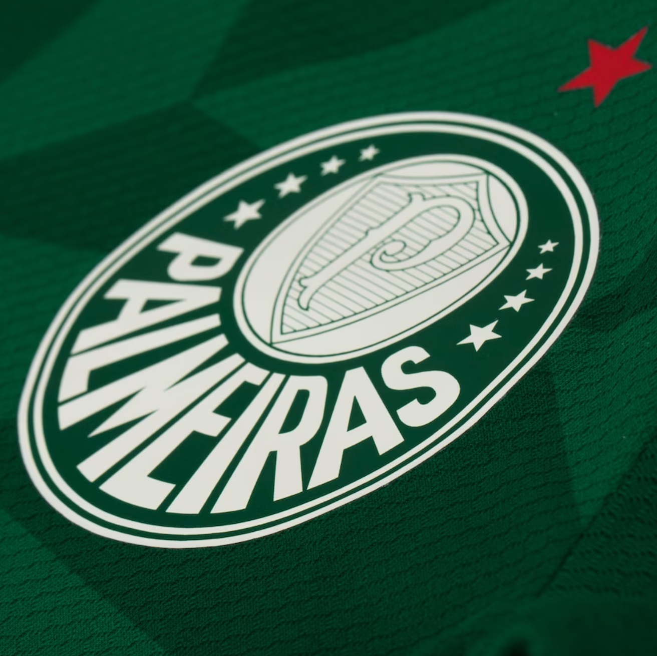 Camisa Palmeiras I 23/24 Puma - Verde | Futmantos